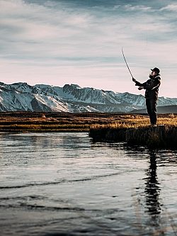 Fly fish 2