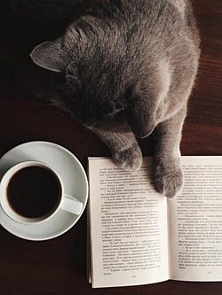Coffebookcat
